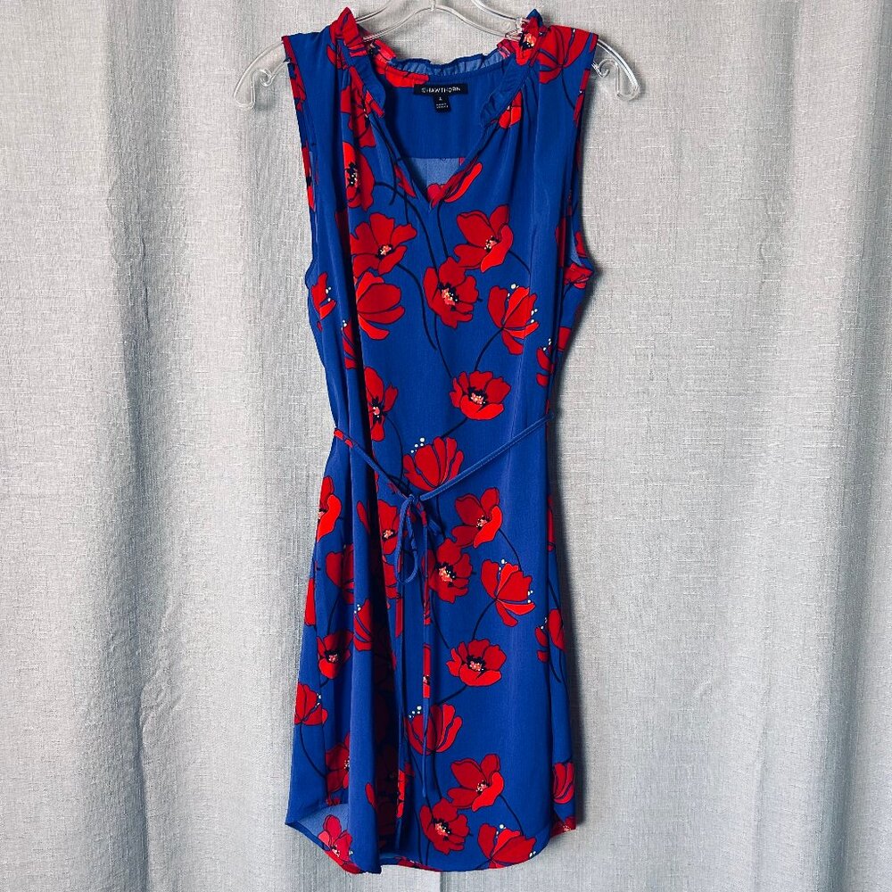 41 Hawthorn Small Blue and Red Poppy Dress